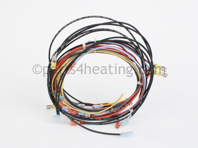 Raypak Wire/Harness Iid - Part Number: 005058F