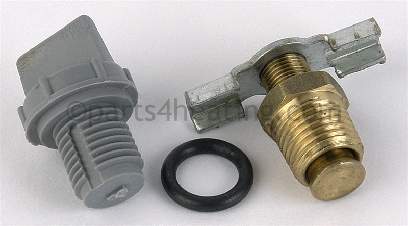 Raypak Drain Plug - Part Number: 006721F