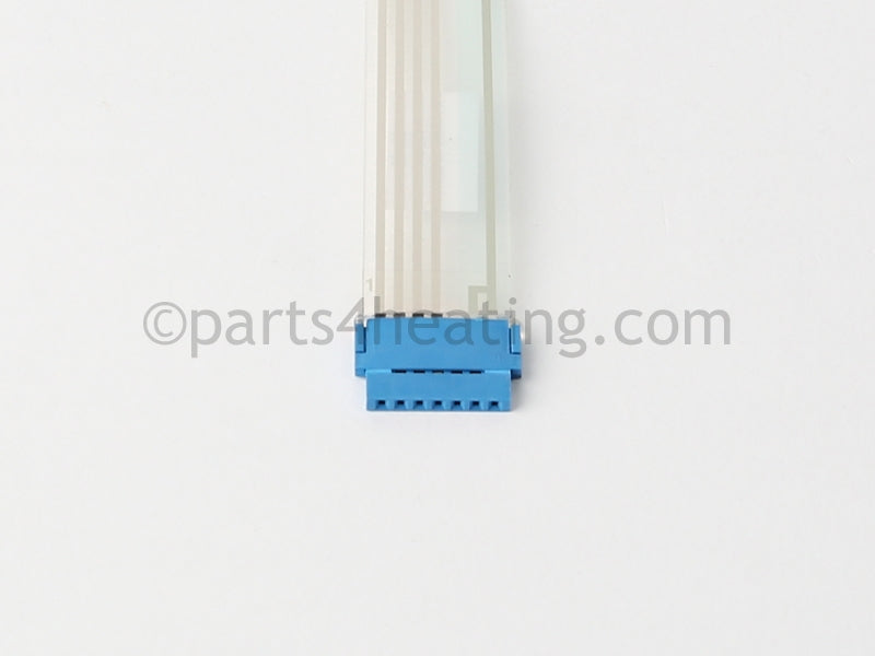 Raypak Switch/Decal-Membrane - Part Number: 009184F