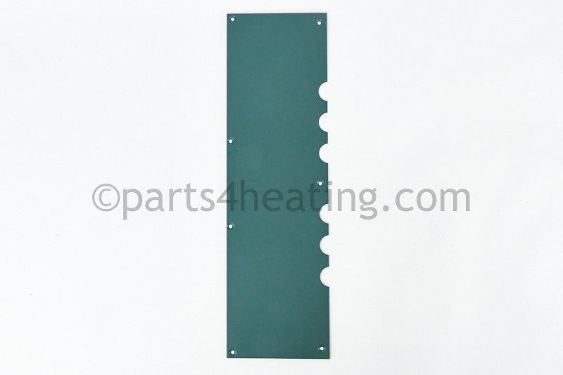 Raypak Access Panel - Part Number: 009684F