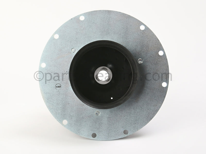 Raypak Swirler - Part Number: 011889F