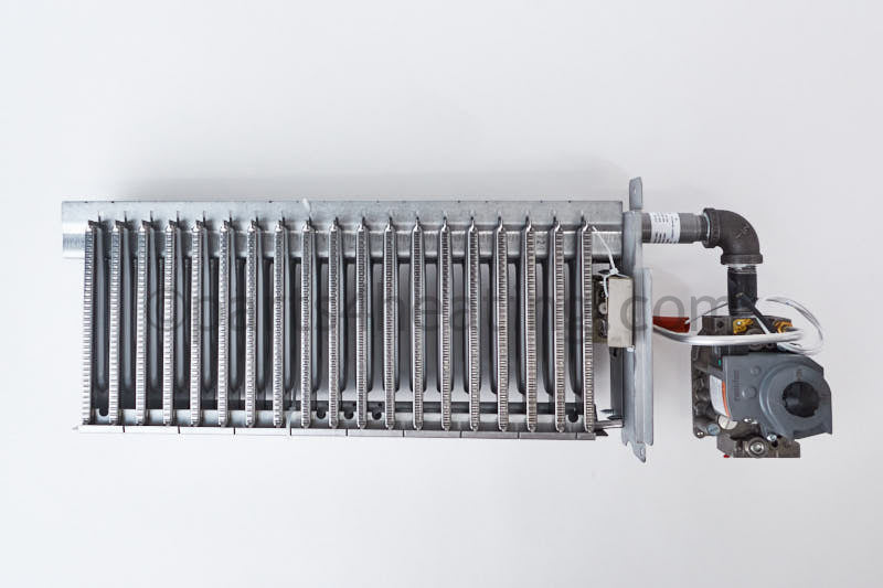 Raypak Burner Tray With Gas Valve, Sea Level, Natural - Part Number: 014850F