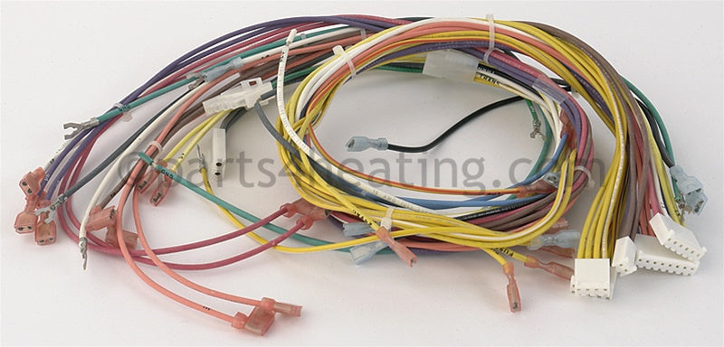 Pentair Wiring Harness Pool Heater - Part Number: 42001-0058S