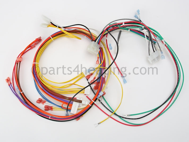 Pentair Wire Harness Dual Volt - Part Number: 42001-0104S