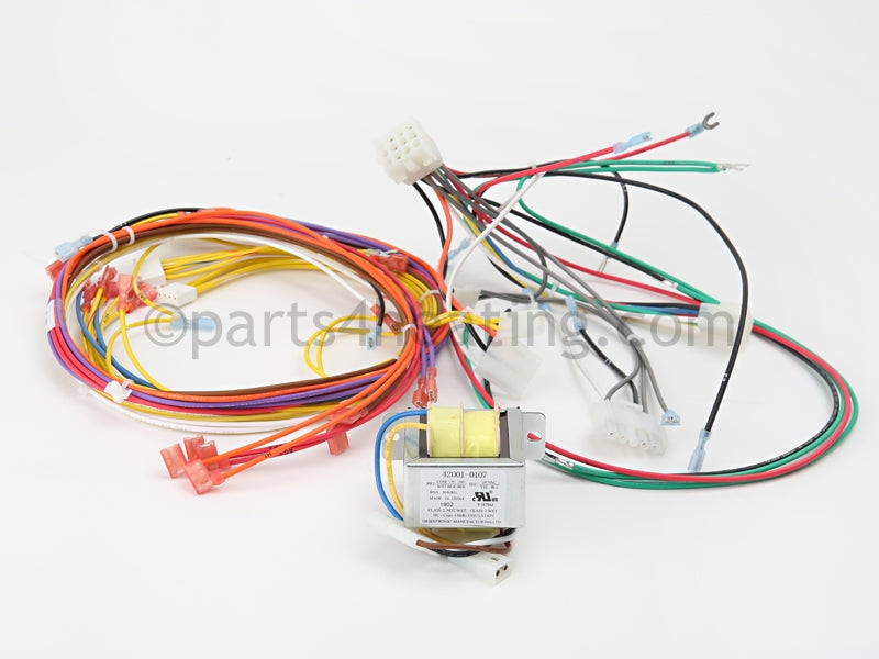 Pentair Wire Harness Dual Volt - Part Number: 42001-0104S