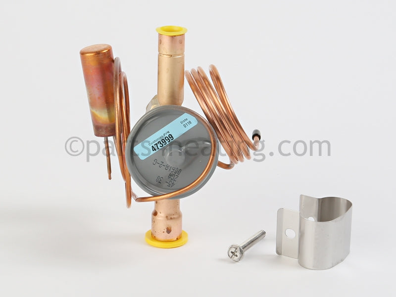 Pentair Thermostatic Expansion Valve - Part Number: 473999