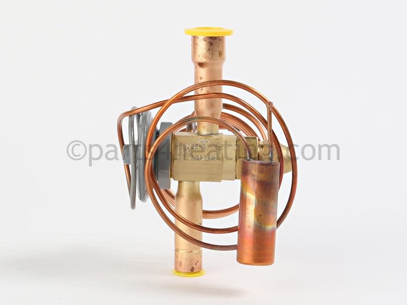 Pentair Thermostatic Expansion Valve - Part Number: 473999