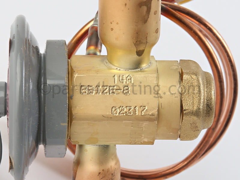 Raypak Tx Valve - Heat And Heat/Cool - Part Number: H000076