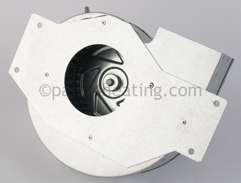 Hayward Industries Combustion Blower, 240 Volts, Idl&amp;Idl2 - Part Number: IDXLBWR1930