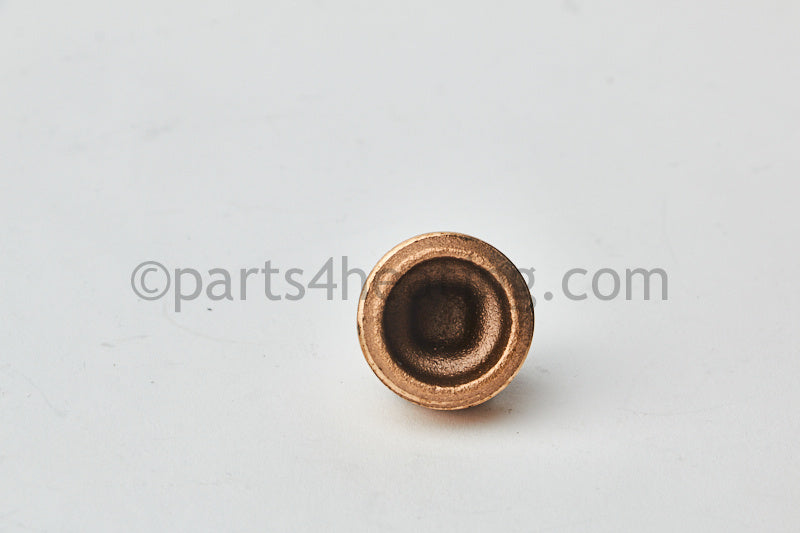 Laars Heating Systems Plug, Brass, 1 In. - Part Number: P0033000