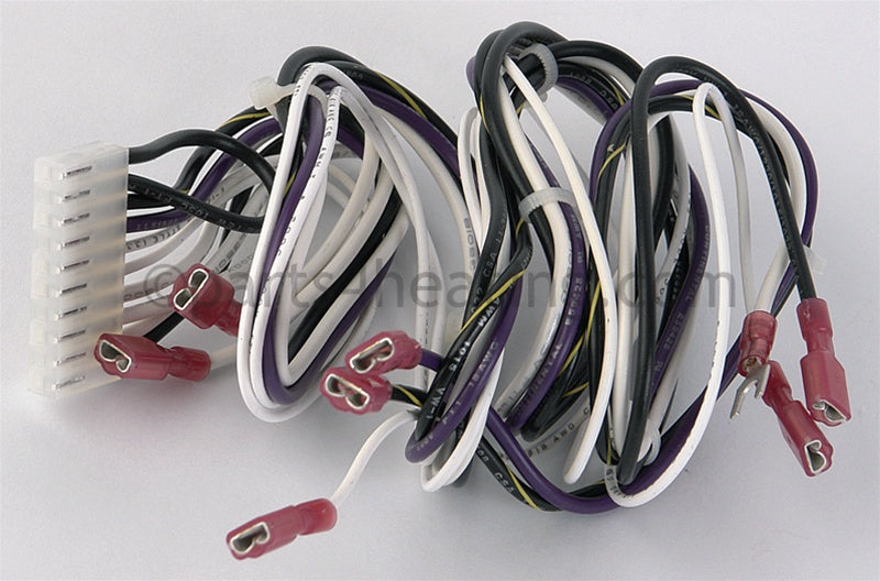 Laars Heating Systems Wire Harness, Safety Loop, All - Part Number: R0331200