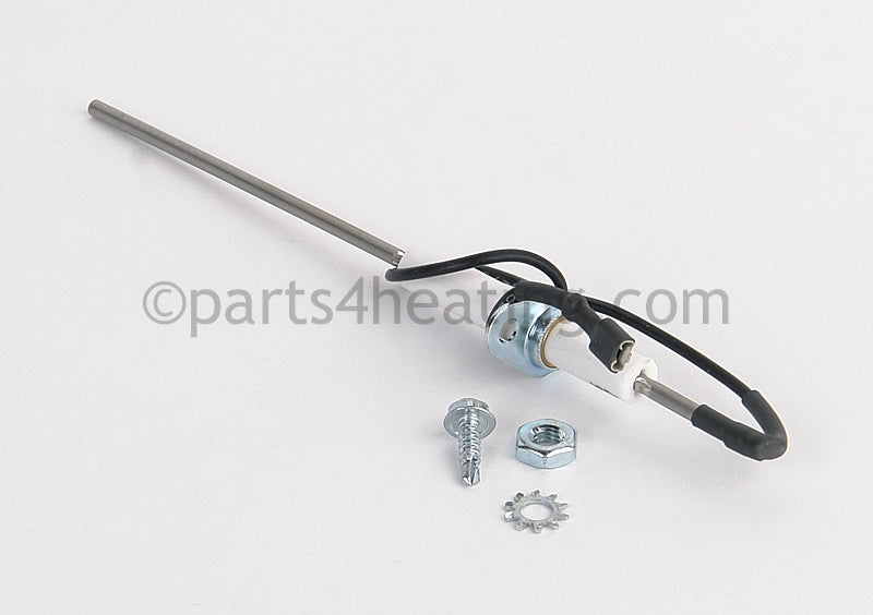 Zodiac Flame Sensor Rod - Part Number: R0458601