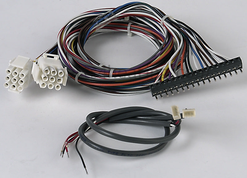 Jandy Wire Harness Kit, 1-Phase (Not Shown) - Part Number: R3001600